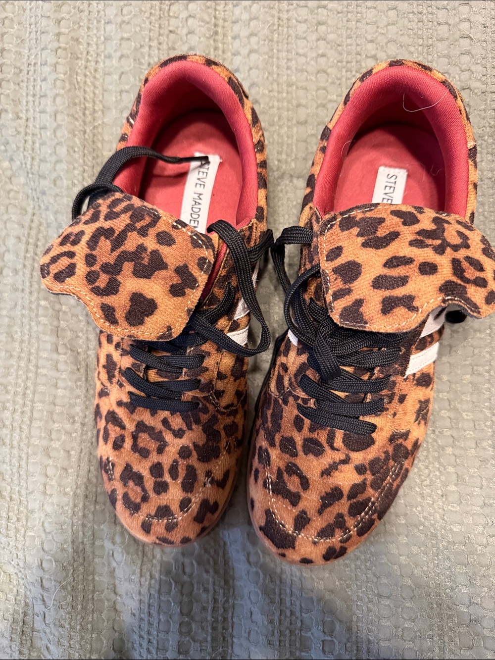 Steve Madden Leopard-Print Sneakers with Black Laces and Pink Lining